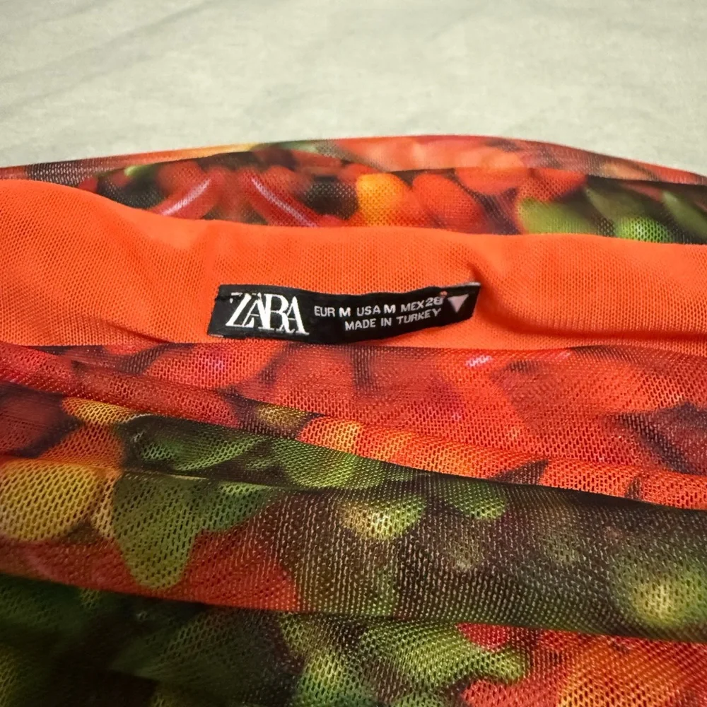 Zara Orange and Multicolor Mesh Dress - Picture 2 of 3